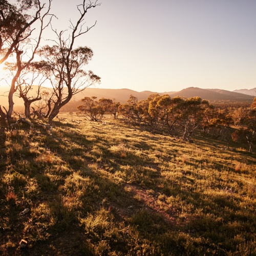Flinders Ranges | Photo Essay